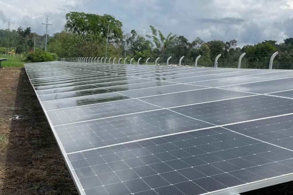 El desafío del ahorro energético en agricultura y producción agroindustrial mediante sistemas fotovoltaicos agroindustriales