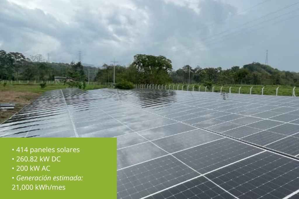 1. AGRINSA Alimentos: Energía para una producción masiva