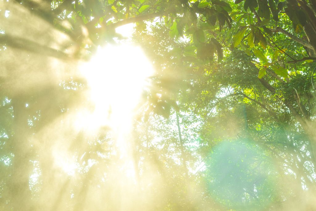 Alerta 3: ¿Estás desaprovechando las horas de mayor radiación solar en tu propiedad?